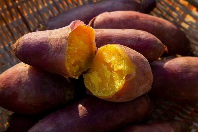 고구마 맛있는 계절, 당뇨 있으면 자제해야 할까?